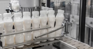 Ünlü Süt Markası İflas Etti: Yüzlerce Kişi İşsiz Kaldı